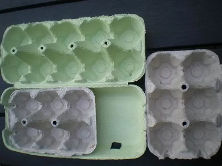 various type egg trays