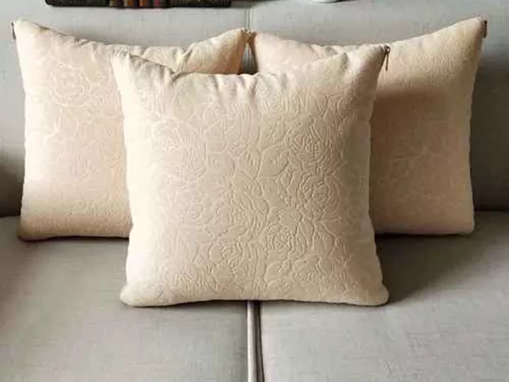 cushion pillow