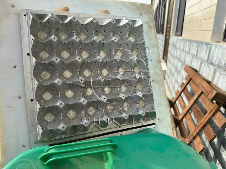 egg crate mold